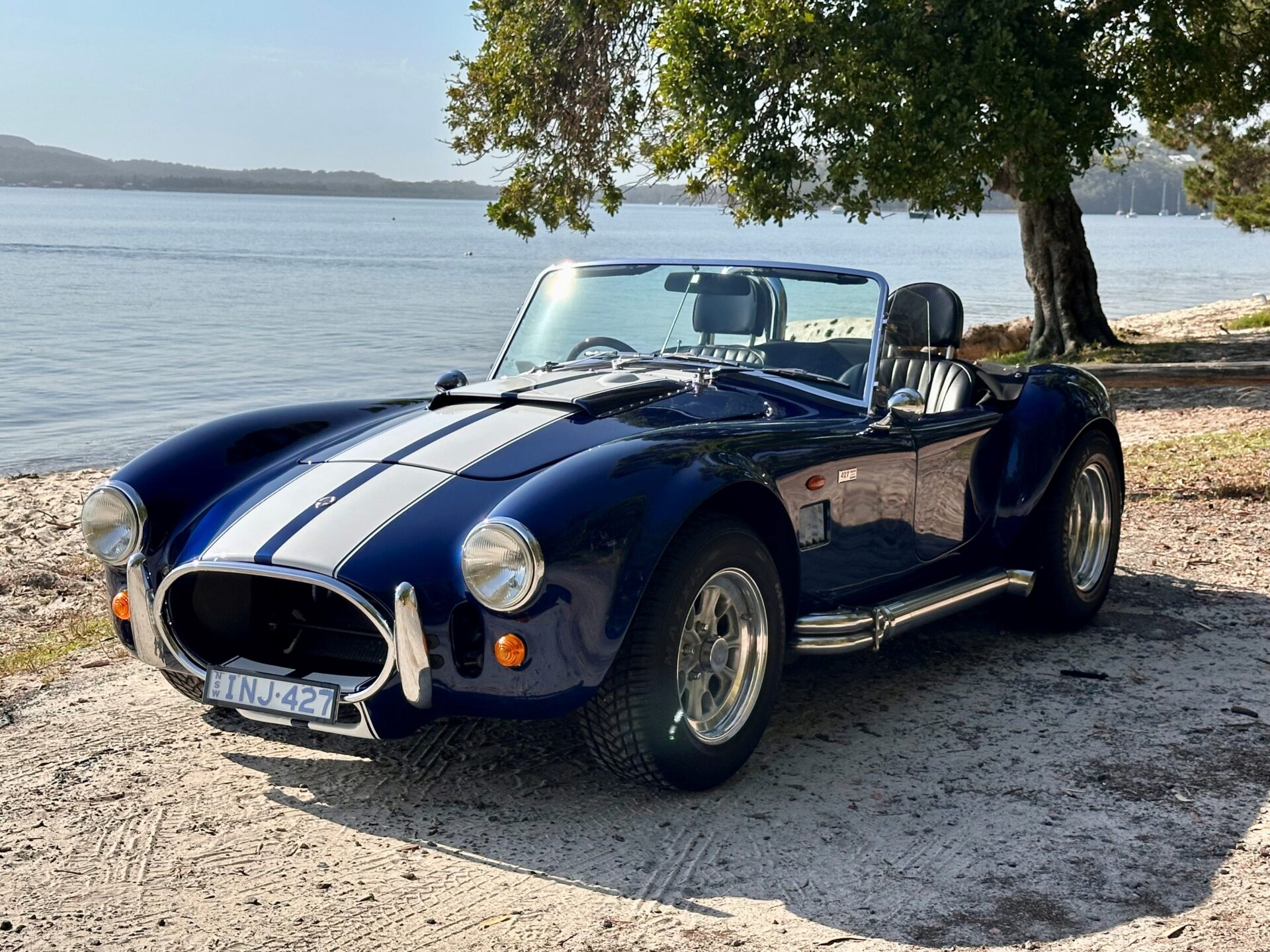 Cobra David Campbell